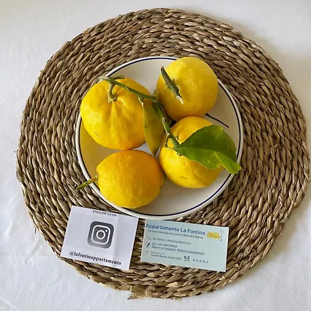 Apartman La Fontina Marciana Marina