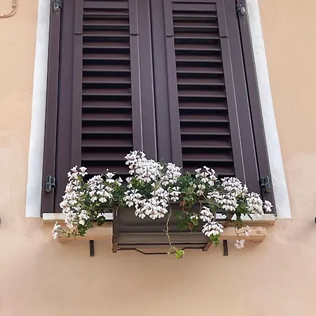 Apartman La Fontina Marciana Marina